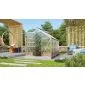 Greenhouse Juventus 