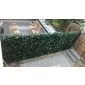 Artificial Hedge hedera fencing 1x3m