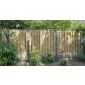 Wooden Fencing pine with concrete posts 200x190cm (21pl)
