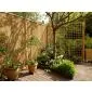 Bamboo fence panel Wuhan 180x45cm