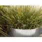 Border Edging Corten Steel flexible 240x15cm