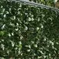 Artificial Hedge hedera fencing 1x3m