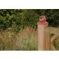 L-brackets fencefix stainless steel