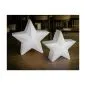 Christmas Star Polaris 62cm