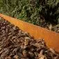 Border edging Corten Steel 100x17.5cm/1.5mm