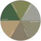 Dye for concrete 5 liters (20m²)
