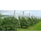 Palisade picket cylindrical ø8x250cm