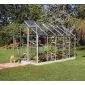 Greenhouse 193x319x195cm