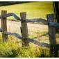 Chestnut Post and Rail Fencing 290cm