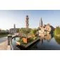 Corten steel planters square 50x50x50cm