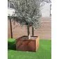 Corten steel planters square 50x50x50cm