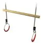 Gymnastic bar swingset