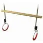 Gymnastic bar swingset