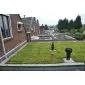 Green roof Sedum click system 45x50cm ready-made