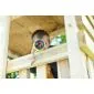 Wooden swingset Anna 400x320x420cm