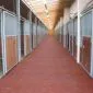 Horse stable mats 100x100cm