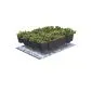 Protective cloth for sedum greenroof 13m2