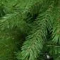 Christmas tree artificial 180cm