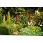 Hardwood trellis fence 180x180cm