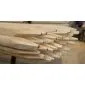 Palisade picket cylindrical ø12x150cm
