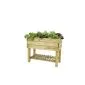 Raised garden bed table 100x50cm