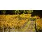 Palisade picket cylindrical ø8x250cm