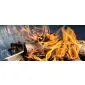 Firewood beech kiln dried 1x1x1.8m