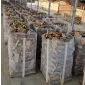 Firewood Robinia (600kg)